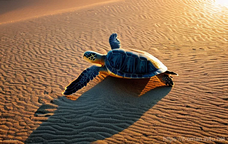 오만의 환경 보호 노력 - **"A serene coastal scene in Oman at dawn, focusing on marine conservation. Thousands of green sea t...