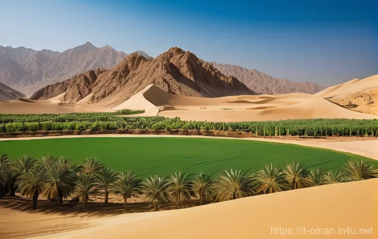 오만의 환경 보호 노력 - **"A serene coastal scene in Oman at dawn, focusing on marine conservation. Thousands of green sea t...