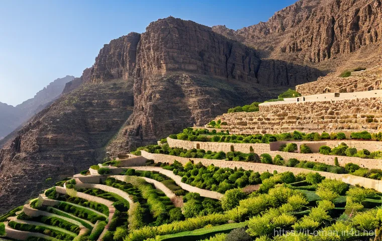 오만의 환경 보호 노력 - **"An idyllic Omani oasis thriving amidst arid desert dunes under a clear blue sky. The focal point ...